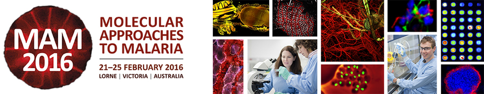 Molecular approaches to Malaria 2016